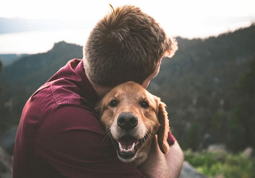 Adopta, no compres: una decisión que salva vidas