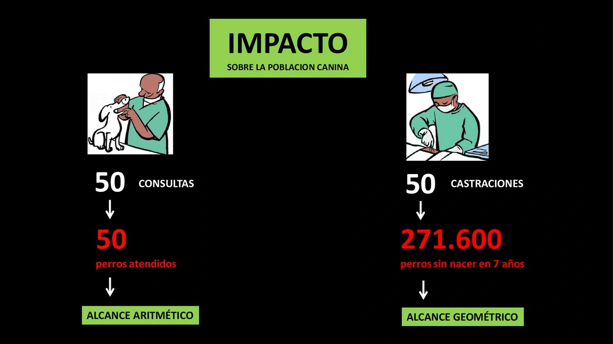 Castraciones tempranas 004