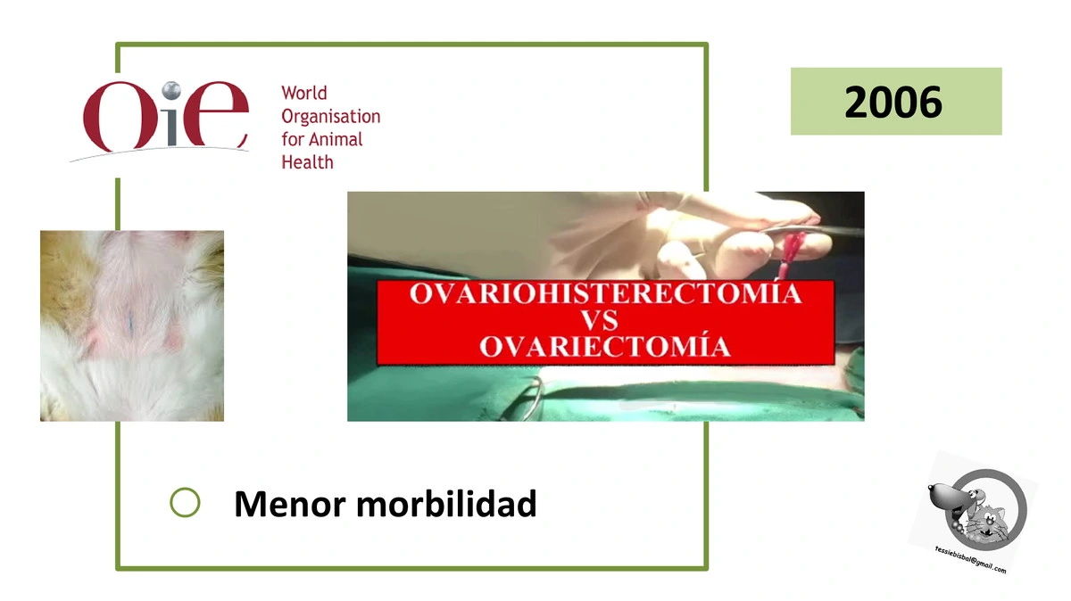 Castraciones tempranas 010