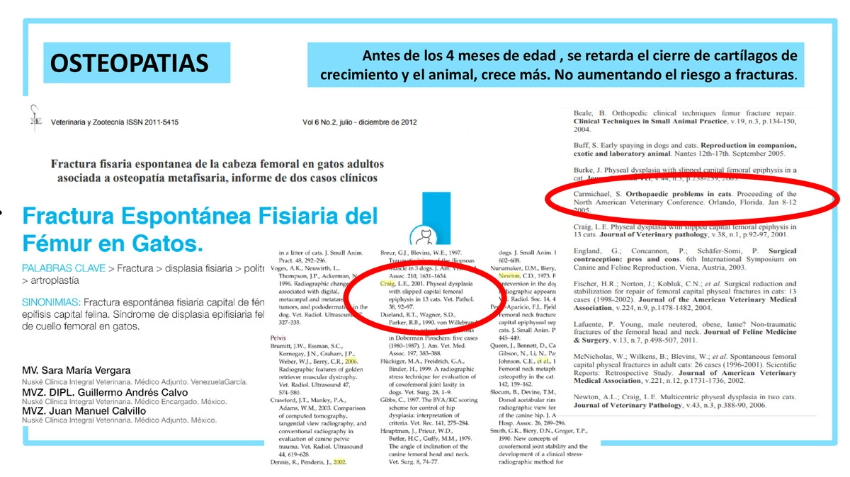 Castraciones tempranas 030