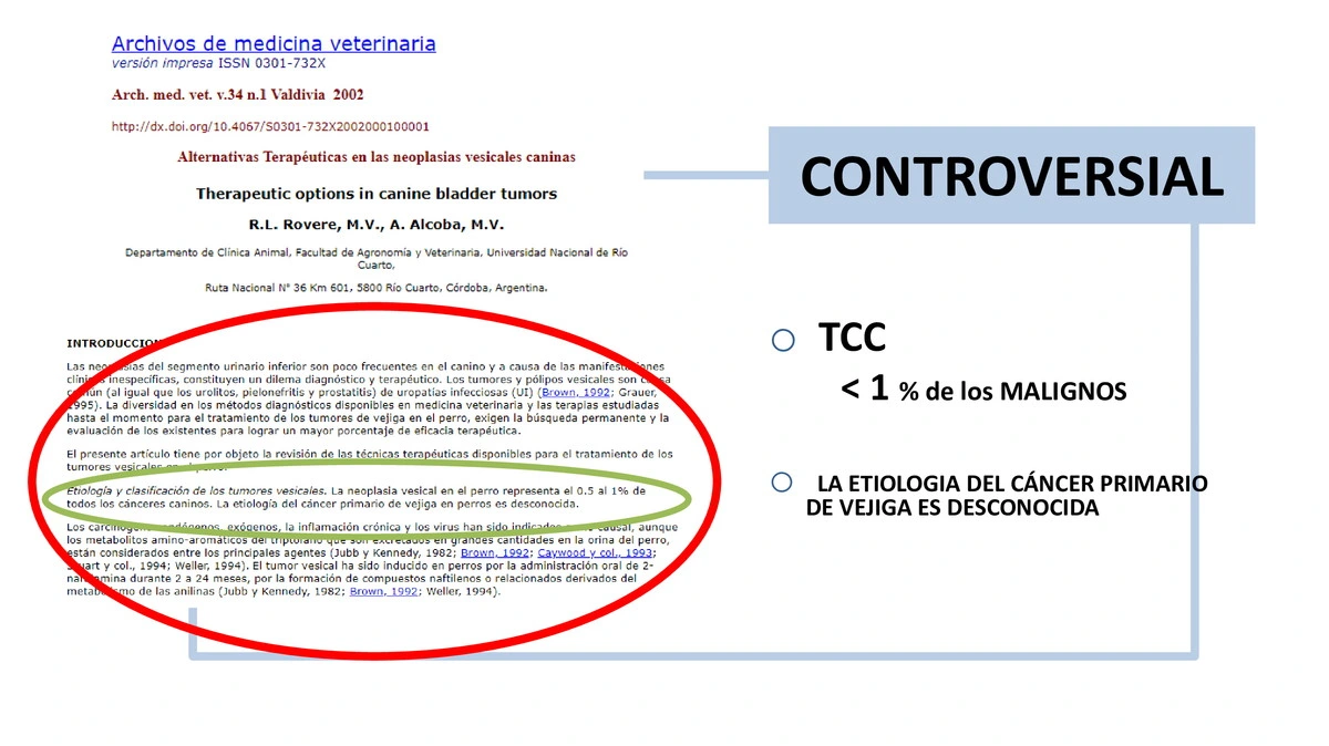 Castraciones tempranas 050