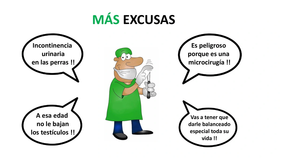 Castraciones tempranas 056