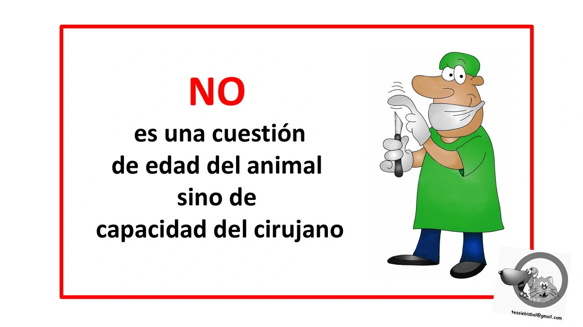 Castraciones tempranas 058
