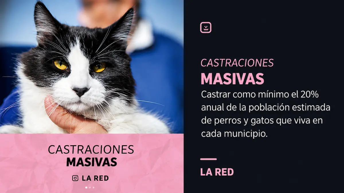 Castraciones masivas