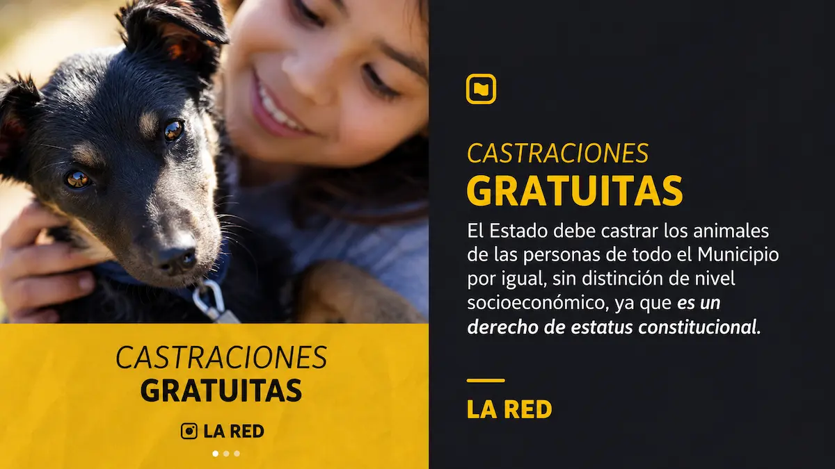Castraciones gratuitas