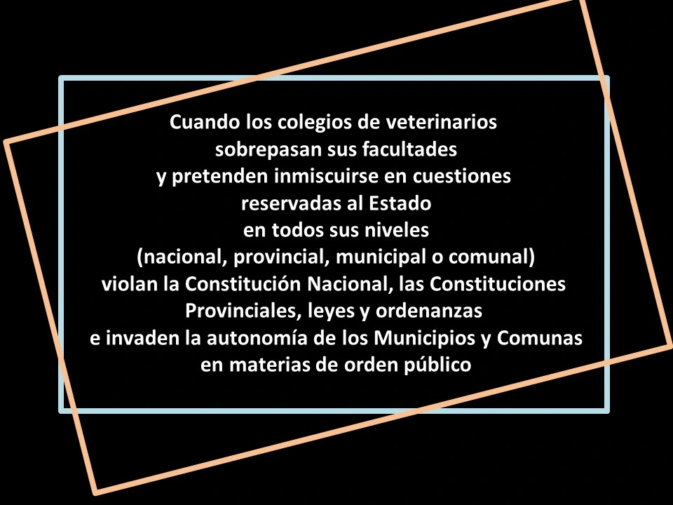 Slide 7