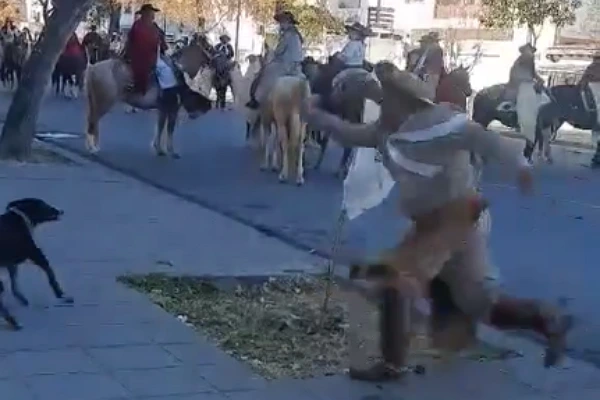 REPUDIO TOTAL: Brutal agresión a un perro durante el desfile en Salta