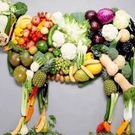 ¿Qué es el veganismo?