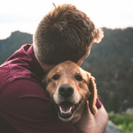 Adopta, no compres: una decisión que salva vidas