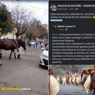 APAN Salta repudia el uso de caballos en desfiles: “La tradición no justifica el maltrato”
